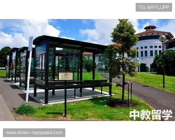 体育慈善转型社会企业,梅西基金会投资青少年体育设施 体育慈善转型社会企业,梅西基金会投资青少年体育设施